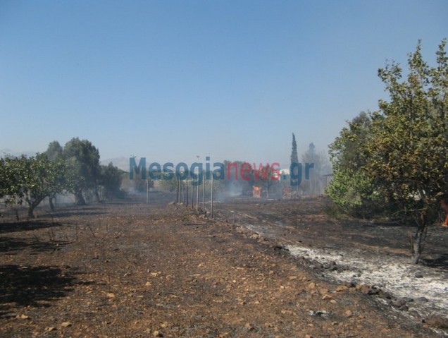 ΠΥΡΚΑΓΙΑ στο Κορωπί από διερχόμενο όχημα [photos] - Φωτογραφία 4