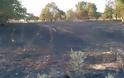 Αχαΐα: Εμπρησμούς στις περιουσίες τους καταγγέλλουν αγρότες - Έρευνα της Πυροσβεστικής