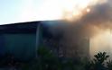 ΚΑΤΑΣΤΡΟΦΗ:  Πυρκαγιά εργοστασίου στην Αύρα Καλαμπάκας - Φωτογραφία 4