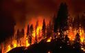 Ρόδος: Ανεξέλεγκτη η φωτιά στην περιοχή του Απόλλωνα