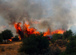 ΚΑΤΑΣΤΡΟΦΗ: 70 στρέμματα έκαψε η πυρκαγιά στο Δραγώγι [photos] - Φωτογραφία 1