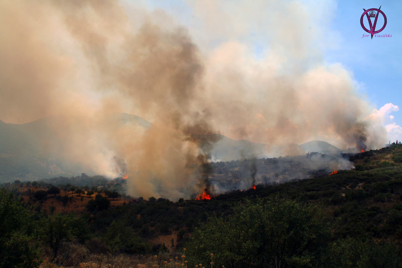 ΚΑΤΑΣΤΡΟΦΗ: 70 στρέμματα έκαψε η πυρκαγιά στο Δραγώγι [photos] - Φωτογραφία 2