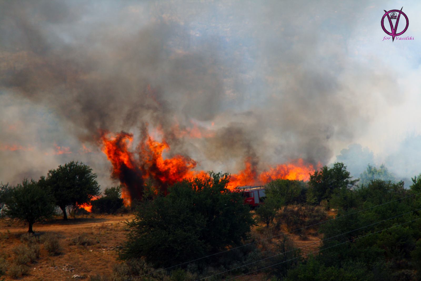 ΚΑΤΑΣΤΡΟΦΗ: 70 στρέμματα έκαψε η πυρκαγιά στο Δραγώγι [photos] - Φωτογραφία 4