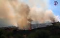 ΚΑΤΑΣΤΡΟΦΗ: 70 στρέμματα έκαψε η πυρκαγιά στο Δραγώγι [photos] - Φωτογραφία 2