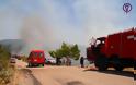 ΚΑΤΑΣΤΡΟΦΗ: 70 στρέμματα έκαψε η πυρκαγιά στο Δραγώγι [photos] - Φωτογραφία 3
