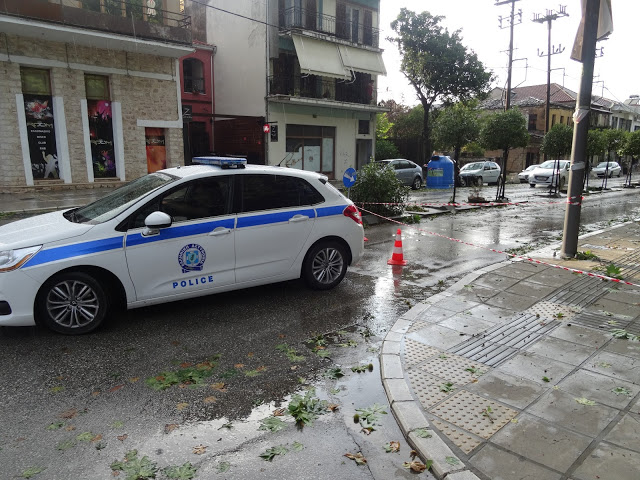 Το ισχυρό μπουρίνι,άφησε πίσω του ανοιχτές πληγές στα Γιάννενα [photos] - Φωτογραφία 8