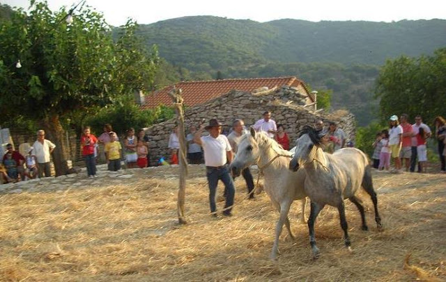 5η Αλωνιάδα Σεβαστού 2015'' Θεσμός Ιστορίας και Πολιτισμού [photos] - Φωτογραφία 5