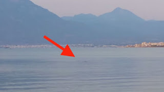 Πανικό προκαλεί καρχαρίας 2μιση μέτρων σε παραλία της Κορίνθου - To βίντεο που κόβει την ανάσα - Φωτογραφία 1