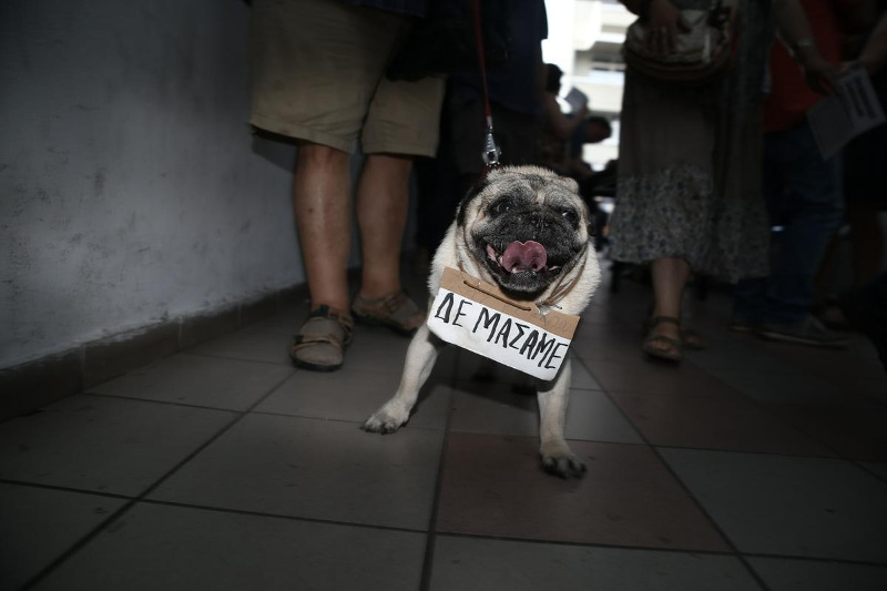 Ο σκύλος που έκλεψε την παράσταση στην εκδήλωση Λαφαζάνη [photo] - Φωτογραφία 2