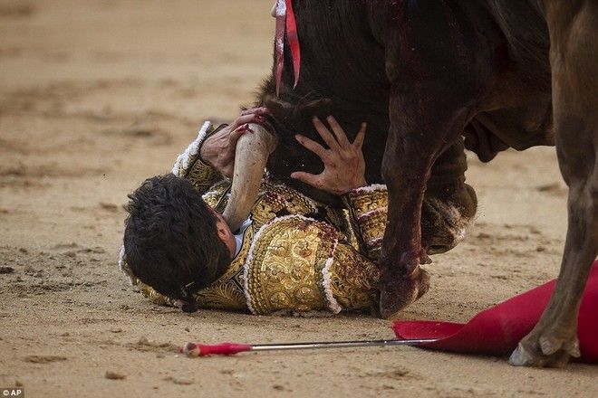 Η οργή του ταύρου - Σκηνές που κόβουν την ανάσα: Ο ταυρομάχος του γύρισε την πλάτη και τον κάρφωσε στον λαιμό [video] - Φωτογραφία 4