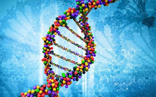 Τροποποίηση του DNA για νέες θεραπείες - Φωτογραφία 1