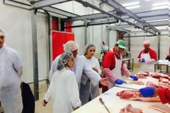 Η Περιφέρεια Δυτικής Ελλάδας θα παρέμβει για να αποτραπεί το 23% στην χοιροτροφία