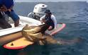 Ψαράς έδωσε «μάχη» με τερατώδες ψάρι - Το βίντεο κόβει την ανάσα - Φωτογραφία 3