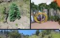 ΚΟΝΙΤΣΑ :Εντοπίστηκε μεγάλη φυτεία δενδρυλλίων κάνναβης κοντά στα ελληνοαλβανικά σύνορα