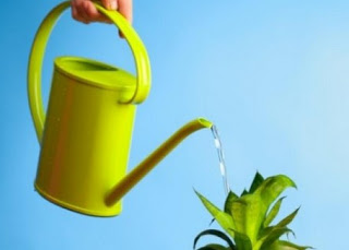 Tips για εξοικονόμηση νερού και χρημάτων... - Φωτογραφία 1