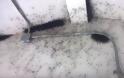 Ό,τι πιο αηδιαστικό έχετε δει: Μια αποθήκη γεμάτη εκατομμύρια αράχνες... [video]