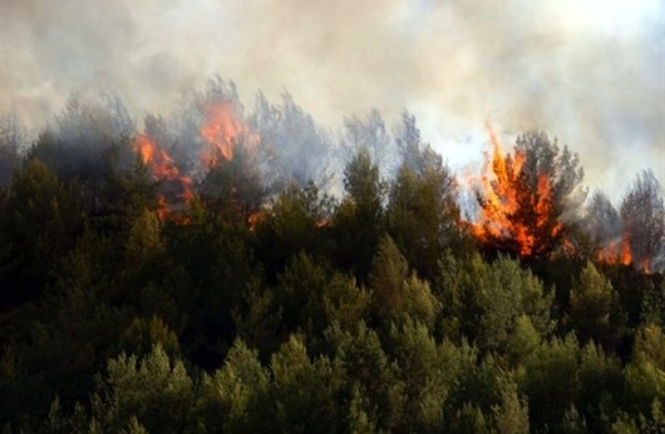 Αχαΐα: Υπό έλεγχο η φωτιά στη Φώσταινα - Φωτογραφία 1