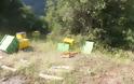 Οι δολοφόνοι μελισσιών ξαναχτύπησαν - Πέταξαν στον γκρεμό πάνω από 100 μελίσσια - Φωτογραφία 3
