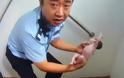 Βρέθηκε νεογέννητο μωρό σε δημόσιες τουαλέτες στο Πεκίνο - Φωτογραφία 1