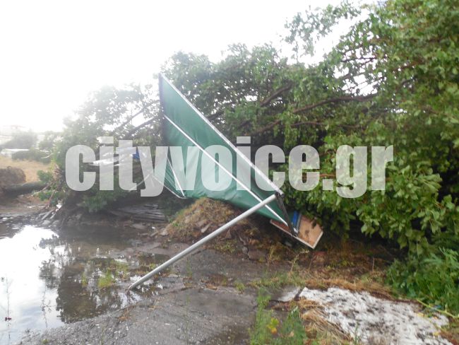 Ξηλώθηκαν στέγες, ξεριζώθηκαν δέντρα - Τρελάθηκε ο καιρός Αυγουστιάτικα - Φωτογραφία 6