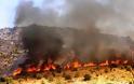 Εκκενώνεται ισπανική πόλη λόγω πυρκαγιάς