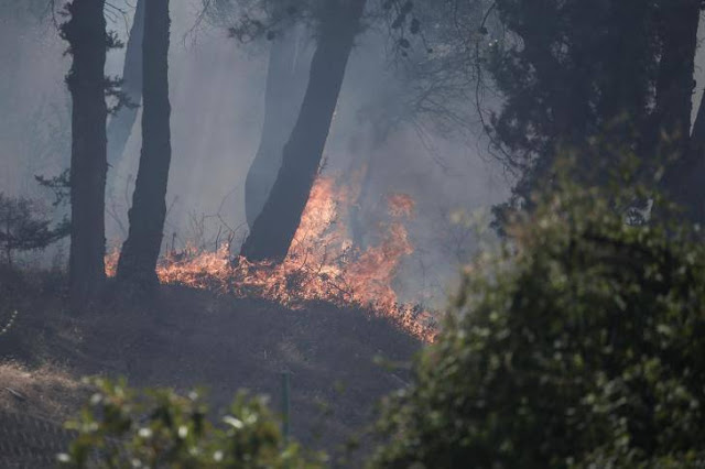 ΣΥΜΜΕΤΟΧΗ ΜΕΛΩΝ ΤΗΣ ΛΕΦΕΔ ΧΑΛΚΙΔΙΚΗΣ ΣΤΗΝ ΚΑΤΑΣΒΕΣΗ ΔΑΣΙΚΗΣ ΠΥΡΚΑΓΙΑΣ ΣΤΟ ΠΕΥΚΟΧΩΡΙ - Φωτογραφία 2