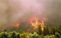 Ολονύχτια μάχη με τις φλόγες στην Πάρνηθα - Έσωσαν τα  σπίτια