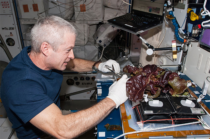 Την πρώτη διαστημική… σαλάτα γεύθηκαν αστροναύτες! [photos] - Φωτογραφία 2