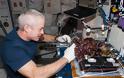 Την πρώτη διαστημική… σαλάτα γεύθηκαν αστροναύτες! [photos] - Φωτογραφία 2