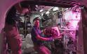 Την πρώτη διαστημική… σαλάτα γεύθηκαν αστροναύτες! [photos] - Φωτογραφία 3
