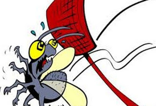 Πώς να απαλλαγείτε από μύγες και κουνούπια με φυσικό τρόπο... photos] - Φωτογραφία 1