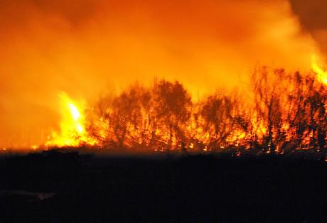 Αχαΐα-ΤΩΡΑ: Πυρκαγιά σε δασική έκταση στο Γιαννισκάρι – Κατευθύνεται προς Καλογριά - Σκληρή μάχη με τις φλόγες - Φωτογραφία 1