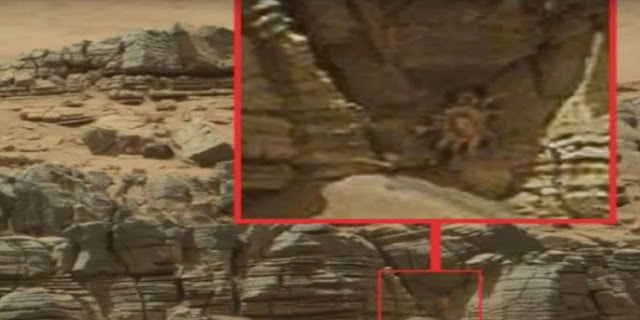Η NASA Δημοσιοποίησε Εικόνες Από τον Άρη - Το υλικό θα σας εκπλήξει... [photo+video] - Φωτογραφία 2