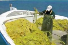 Απίστευτες εικόνες: Ψαράς σήκωσε τα δίχτυα του και έπαθε ΣΟΚ με αυτό που αντίκρισε
