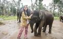 Σοκαριστικές εικόνες από το βασανισμό ελεφάντων στην Ινδία - Φωτογραφία 2