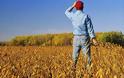 Δωρεάν σπόροι σε παραγωγούς οπωροκηπευτικών - Ποίοι δικαιούνται