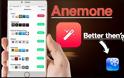 Anemone :  Η καλύτερη εναλλακτική του winderboard