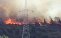 Ανεξέλεγκτη η πυρκαγιά στη Ρόδο:  Στο σημείο έχει σπεύσει το σύνολο της πυροσβεστικής δύναμης του νησιού