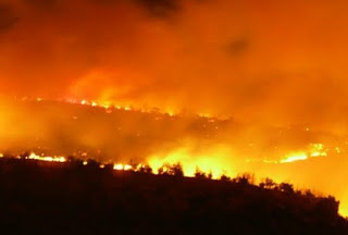 Μόλις το 10% των πυρκαγιών της Ελλάδας την τελευταία 15ετία οφείλονται σε φυσικά αίτια - Φωτογραφία 1