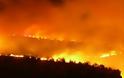 Μόλις το 10% των πυρκαγιών της Ελλάδας την τελευταία 15ετία οφείλονται σε φυσικά αίτια