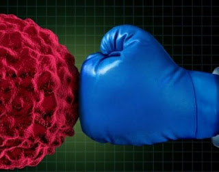Έλληνες επιστήμονες βρήκαν τρόπο να γιατρέψουν τα καρκινικά κύτταρα - Φωτογραφία 1