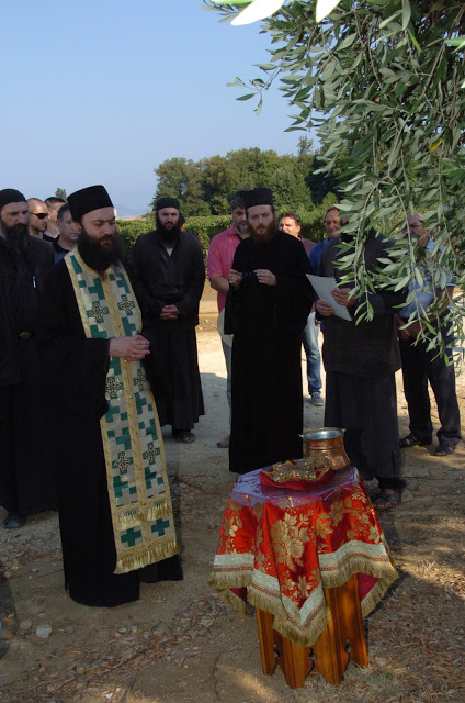 6988 - Άρχισε η συγκομιδή των σταφυλιών στο Χιλιανδάρι (φωτογραφίες) - Φωτογραφία 2