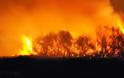 Αχαΐα: Φωτιά στις Τόσκες τα ξημερώματα - Υπό μερικό έλεγχο οι φλόγες σε δασική και γεωργική έκταση