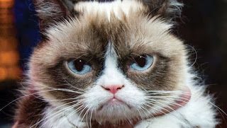 H ‘Grumpy Cat’ είναι το πρώτο ζώο που αποκτά ομοίωμα στο μουσείο της Μαντάμ Τισό [video] - Φωτογραφία 1