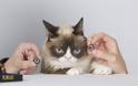 H ‘Grumpy Cat’ είναι το πρώτο ζώο που αποκτά ομοίωμα στο μουσείο της Μαντάμ Τισό [video] - Φωτογραφία 2