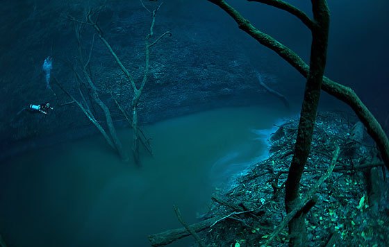 Βούτηξε στα 30 μέτρα μιας υποθαλάσσιας σπηλιάς, αλλά αυτό που ανακάλυψε…[photos] - Φωτογραφία 3