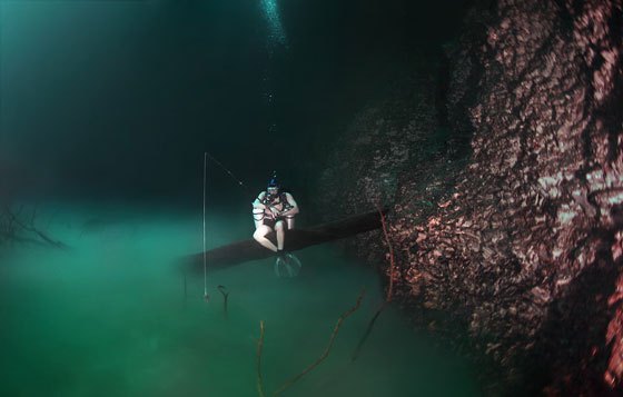 Βούτηξε στα 30 μέτρα μιας υποθαλάσσιας σπηλιάς, αλλά αυτό που ανακάλυψε…[photos] - Φωτογραφία 6