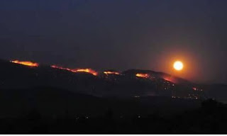 Νύχτα τρόμου και αγωνιάς: Στις φλεγόμενες περιοχές της Μυτιλήνης - Ανεξέλεγκτη η φωτιά μέσα σε χαράδρες [photo+video] - Φωτογραφία 1