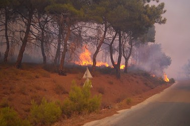 Νύχτα τρόμου και αγωνιάς: Στις φλεγόμενες περιοχές της Μυτιλήνης - Ανεξέλεγκτη η φωτιά μέσα σε χαράδρες [photo+video] - Φωτογραφία 4