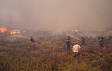 Νύχτα τρόμου και αγωνιάς: Στις φλεγόμενες περιοχές της Μυτιλήνης - Ανεξέλεγκτη η φωτιά μέσα σε χαράδρες [photo+video] - Φωτογραφία 5